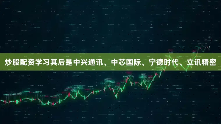 炒股配资学习其后是中兴通讯、中芯国际、宁德时代、立讯精密