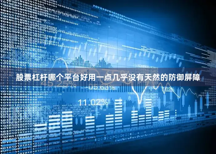 股票杠杆哪个平台好用一点几乎没有天然的防御屏障