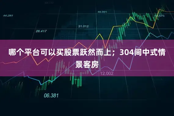 哪个平台可以买股票跃然而上;304间中式情景客房